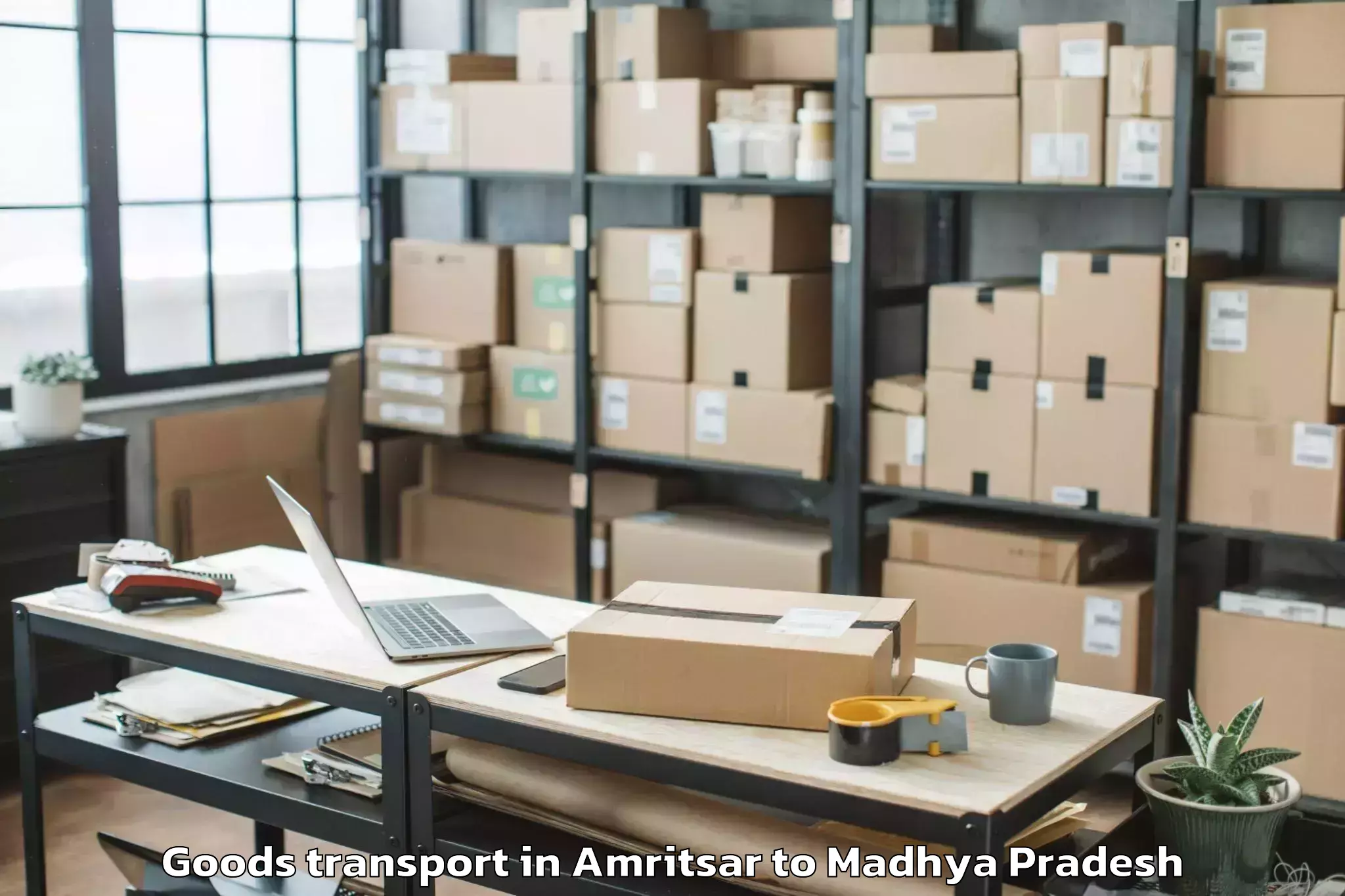 Book Your Amritsar to Sanwer Goods Transport Today